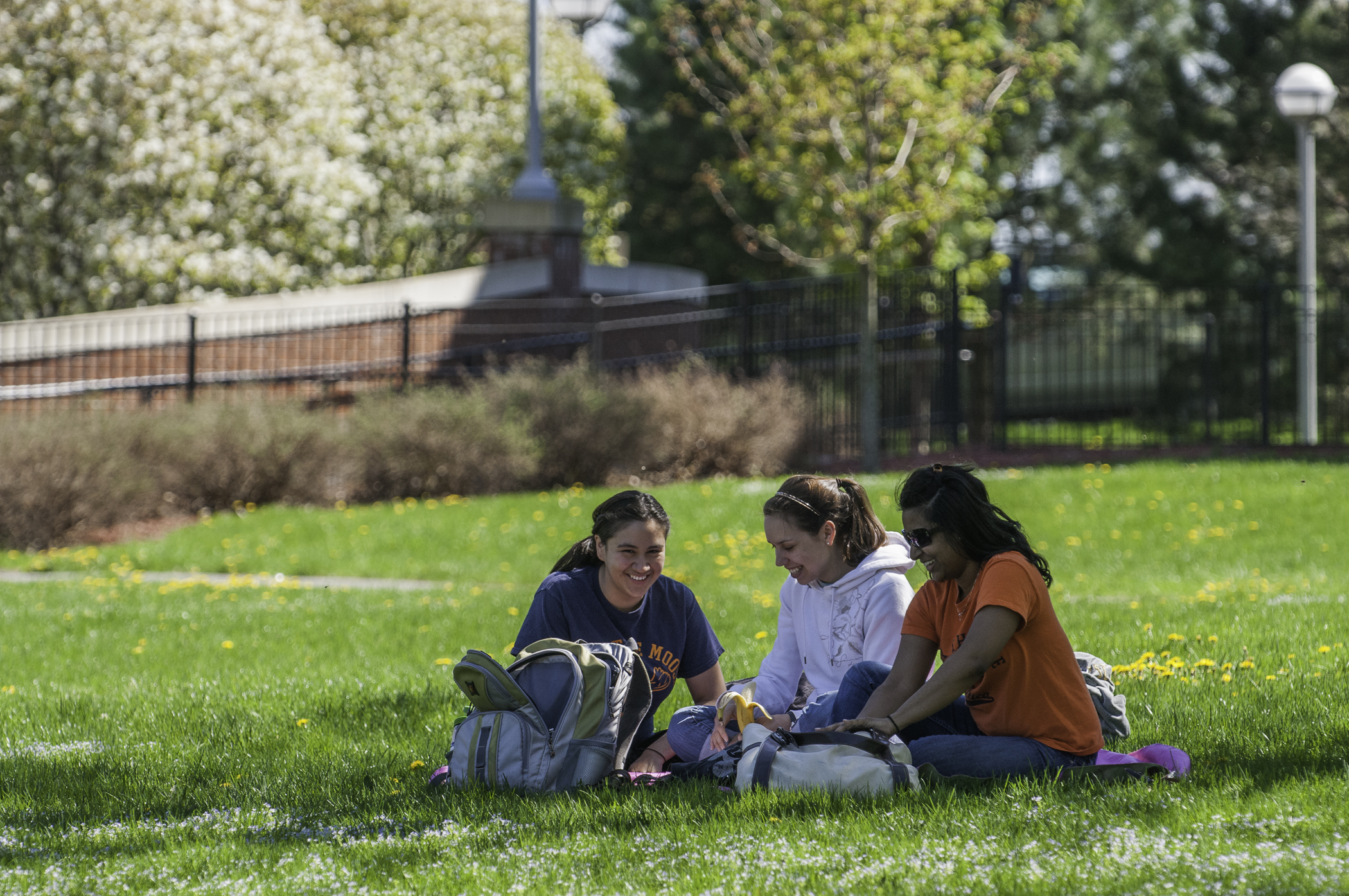 Utica College